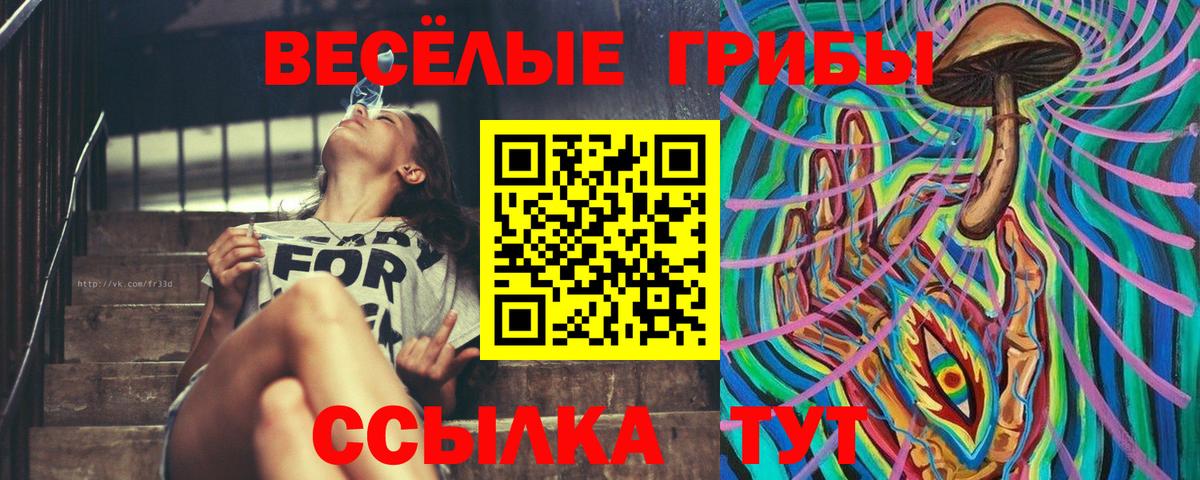 Галлюциногенные грибы MAGIC MUSHROOMS Кострома