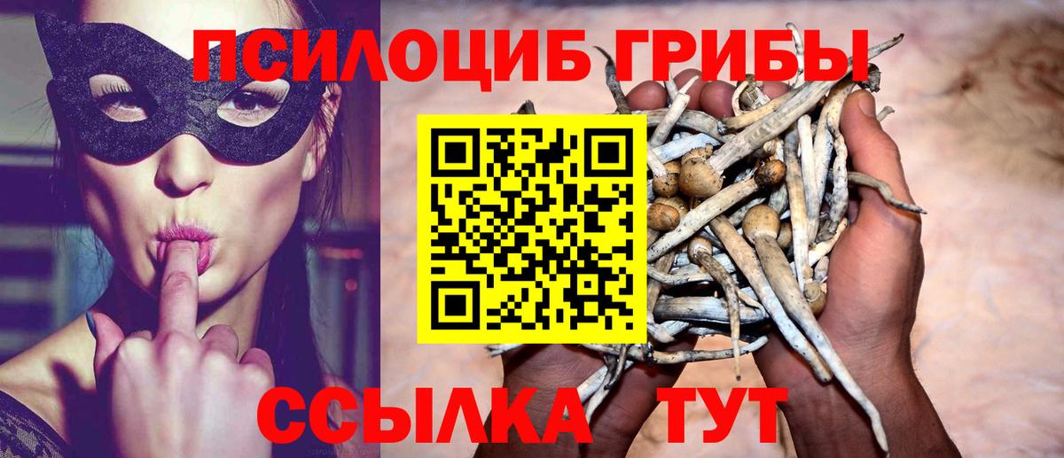 Кострома  как найти закладки  Вход с VPN  Псилоцибиновые грибы мицелий  Псилоцибиновые грибы прущие грибы 